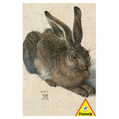 Durer – Young Hare
